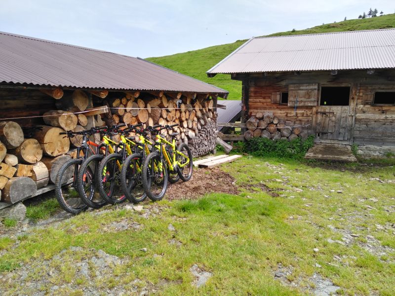 Fahrräder Holzstapel Bike and Hike