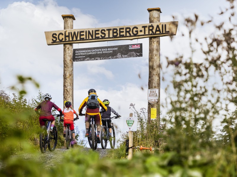 Starttor Schweinestberg-Trail Mountainbiker