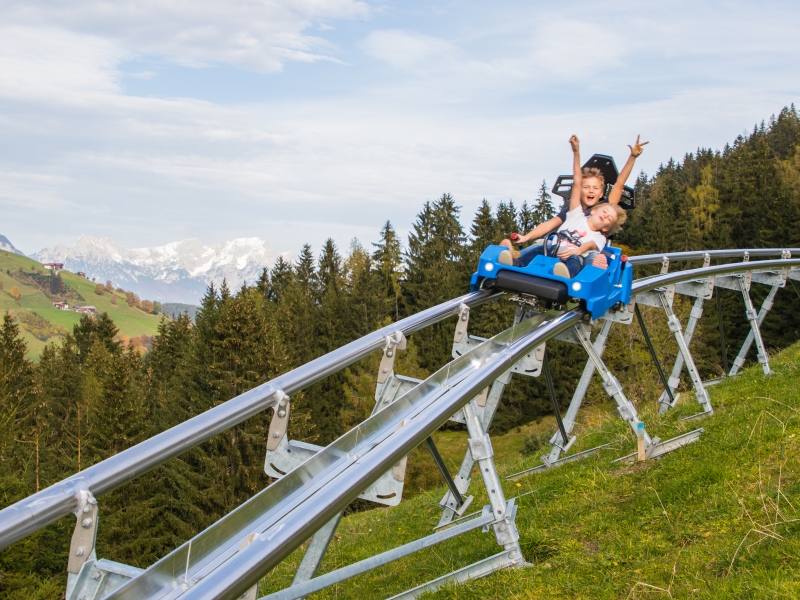 Drachenflitzer Alpine Coaster