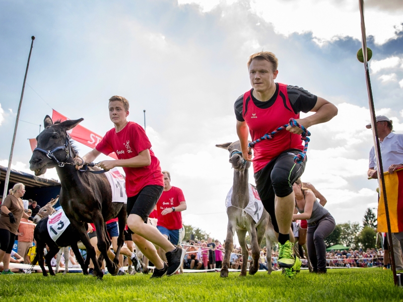 Eselrennen beim FC Hersbruck