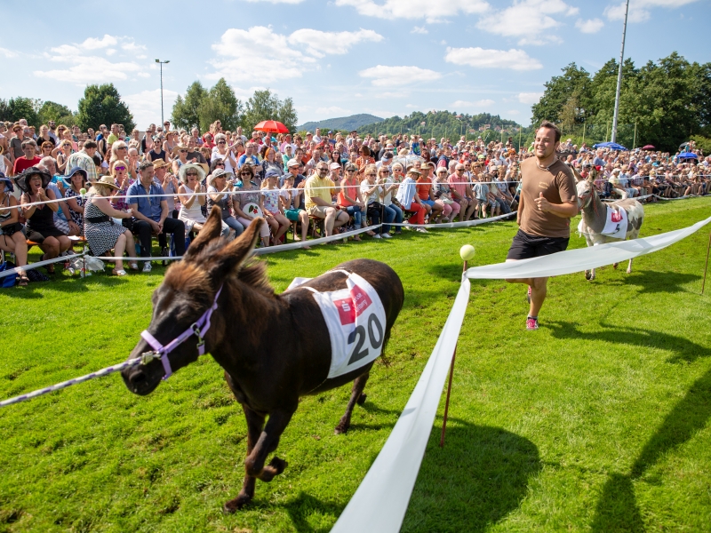 Eselrennen beim FC Hersbruck